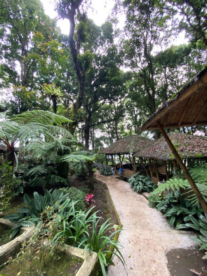 Laksana Rasa Resort Ciwidey Exteriér fotografie